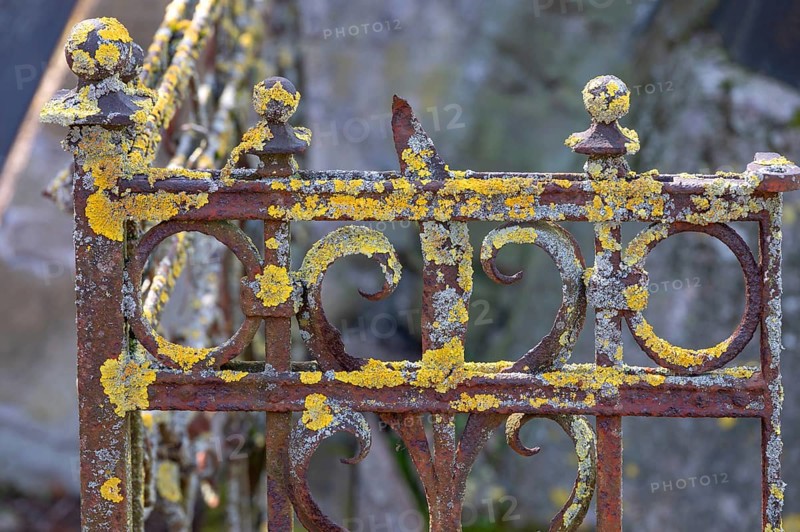 Moss-covered iron grille at an Israeli cemetery, inaugurated in 1882, Werner-von Siemens Str. 2, Würzburg, Lower Franconia, Bavaria, Germany, Europe