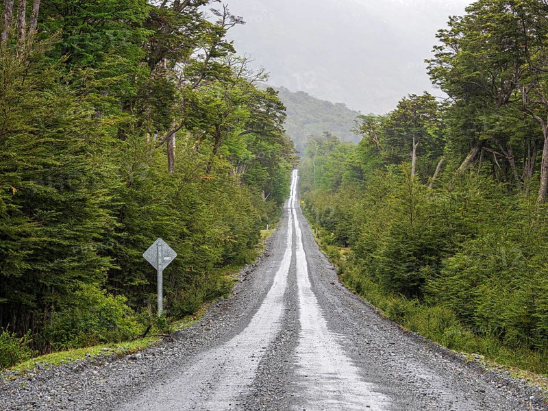 Road Carretera Austral passing cold rain forest near Villa o' Higgins, Patagonia, Chile, South America
