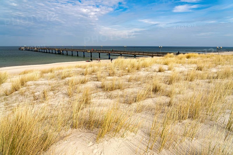 Dunes on the Baltic Sea beach and the pier at Graal-Müritz, Mecklenburg-Vorpommern, Germany, Europe