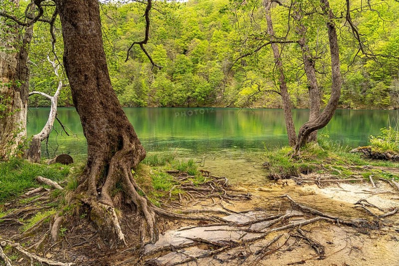 Plitvice Lakes National Park, Croatia, Europe