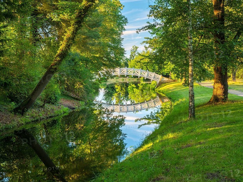 The Chinese or White Bridge in Wörlitz Park in the evening light, Garden Kingdom Dessau-Wörlitz, Wörlitz, Saxony-Anhalt Germany