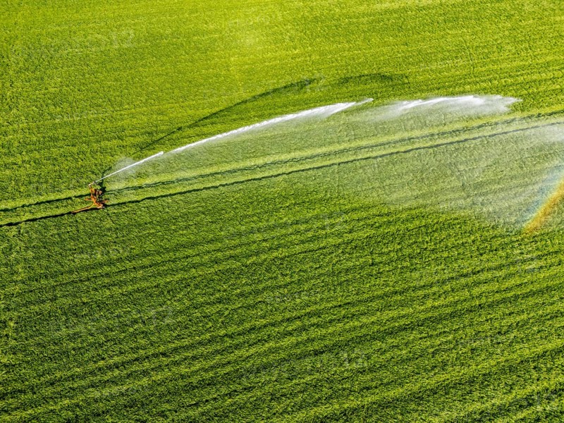Artificial irrigation of a cereal field in April, with a sprinkler system, long dry spell in spring makes this necessary for the young plants to grow well, Kerken, Lower Rhine, North Rhine-Westphalia, Germany, Europe