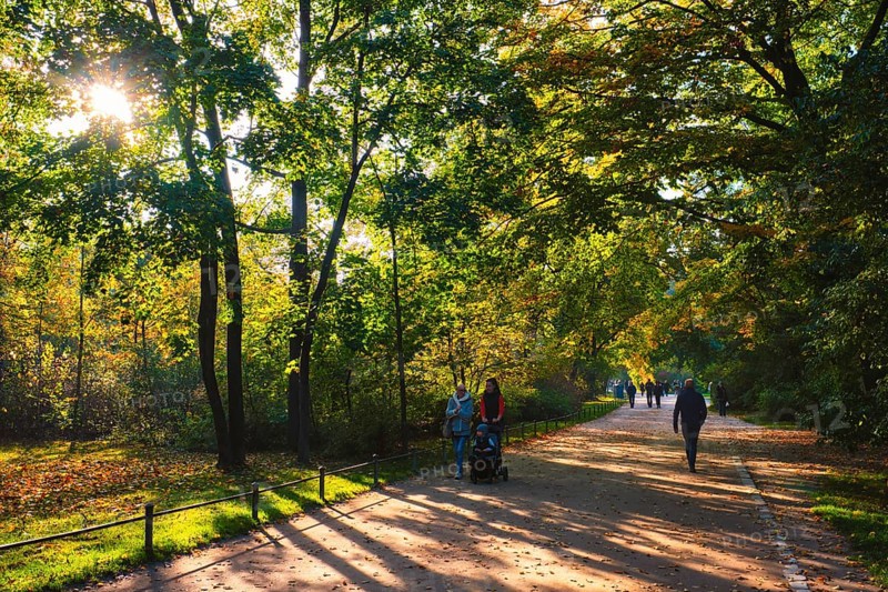 Munchen, Germany, October 21, 2019: Golden autumn fall October in famous Munich relax place, Englisher garten with pedestrians with fallen leaves and golden sunlight, Europe
