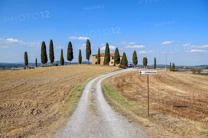 Cypresses in front of a country house, near Pienza, Val d'Orcia, Orcia Valley, Tuscany, Italy, Europe