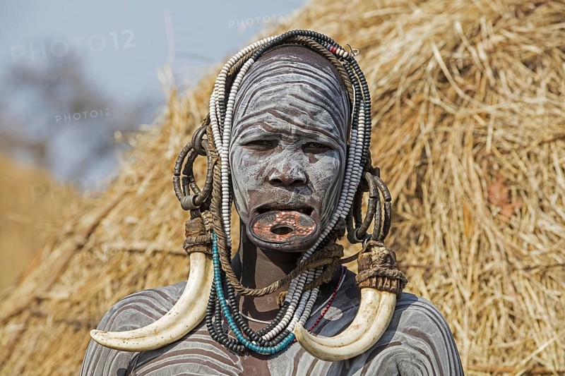 Painted woman of the Mursi tribe wearing lip plate and huge tusks earrings in the Mago National Park, Jinka, Debub Omo Zone, Southern Ethiopia