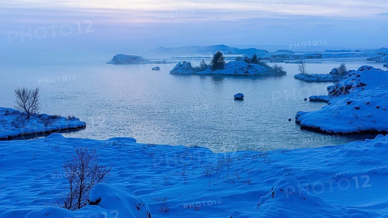 Snow-covered with bushes small island in Lake Myvatn, at blue hour, Kalfaströnd, Northern Iceland Eyestra, Iceland, Europe