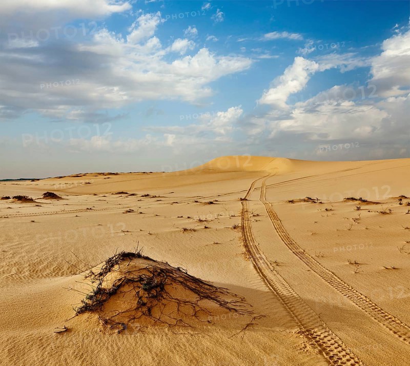 Desert sand dunes on sunrise, Mui Ne, Vietnam, Asia
