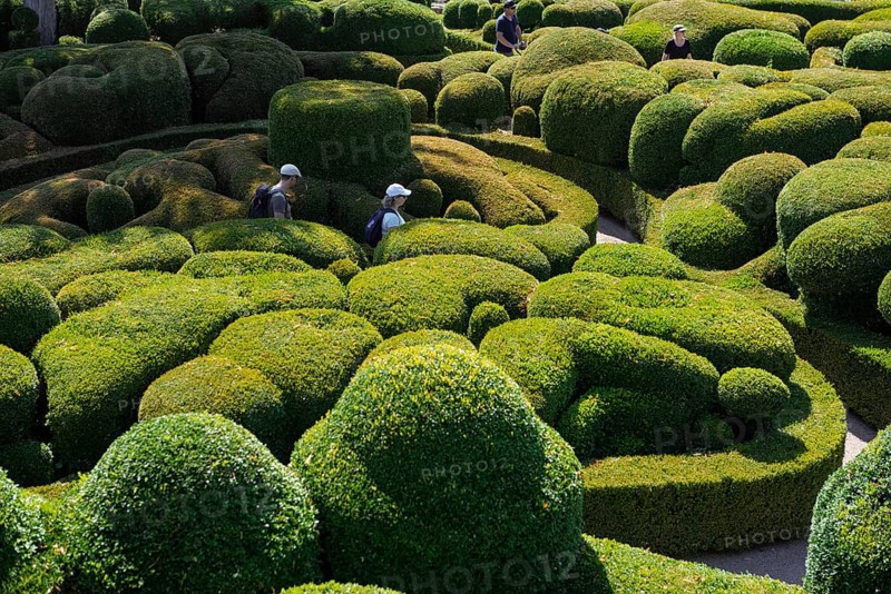 Boxwood garden, Les Jardins de Marqueyssac, Vezac, Dordogne, Périgord, Département Dordogne, Region Nouvelle-Aquitaine, France, Europe