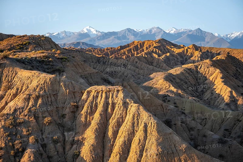 Landscape of eroded hills at sunrise, badlands, white mountain peaks of the Tian Shan Mountains in the background, Canyon of the Forgotten Rivers, Issyk Kul, Kyrgyzstan, Asia