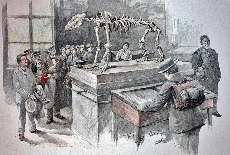 The skeleton of the cave bear in the cave museum of Rübeland, a locality of the town of Oberharz am Brocken, museum, museum visitor around 1880, Germany, Historic, digitally restored reproduction of a 19th century original, Europe