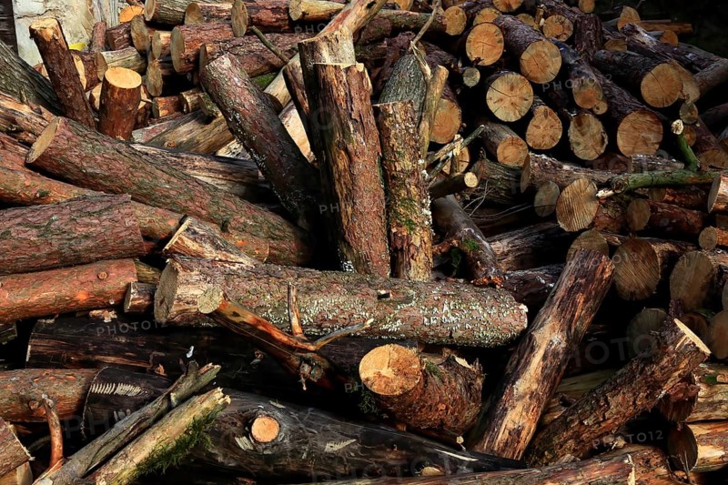Firewood, logs, sawn into metre pieces