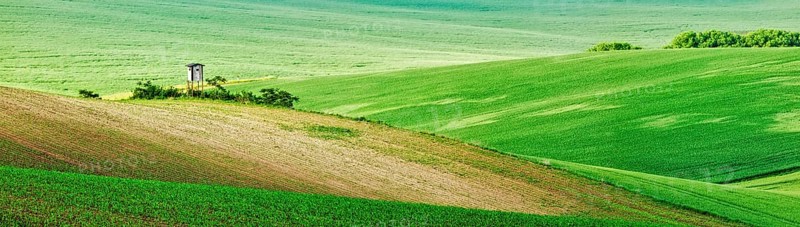 Panorama of Moravian rolling landscape with hunting tower shack on sunset. Moravia, Czech Republic, Europe
