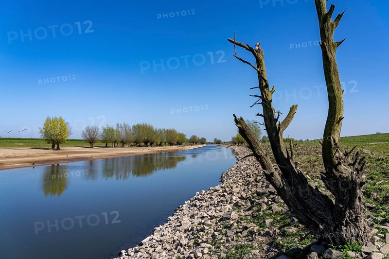 The Gierthausen oxbow lake near Schenkenschanz, Kleve, on the Lower Rhine, North Rhine-Westphalia, Germany, Europe