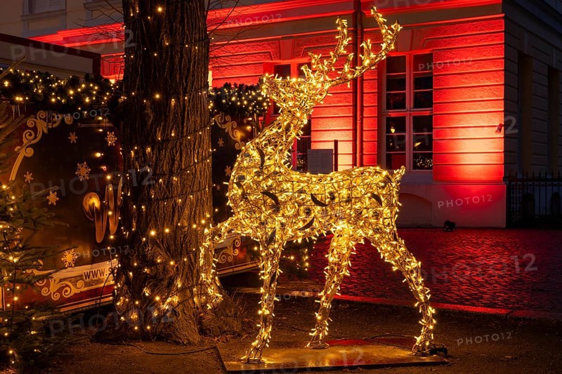 Reindeer with lights, figure, decoration, Christmas market at Charlottenburg Palace, blue hour, Berlin, Germany, Europe