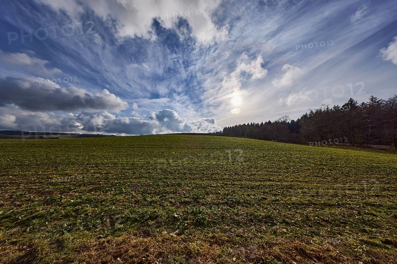 Field, agriculture, coniferous forest, deep blue sky, cumulus clouds, cirrostratus clouds, backlight of the sun, Dreis-Brück, Eifel, Vulkaneifel district, Rhineland-Palatinate, Germany, Europe
