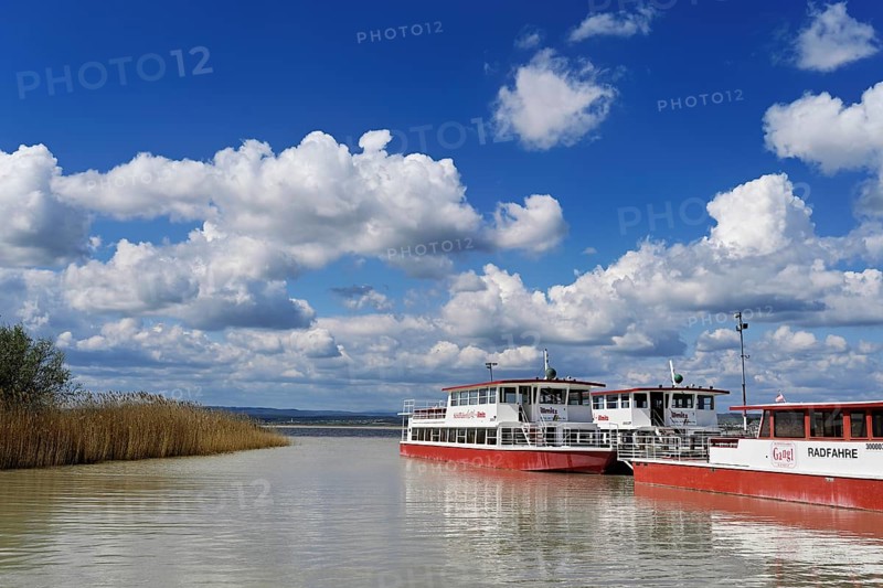 Bicycle ferry at the landing stage, Illmitz, National Park, Lake Neusiedl, Seewinkel, Burgenland, Austria, Europe