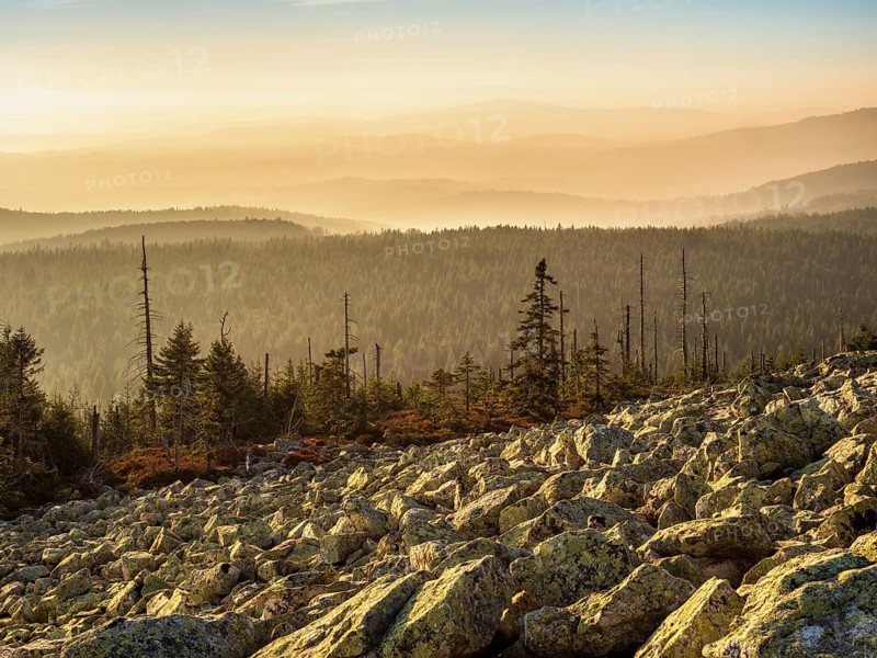 View from the Lusen with Blockmeer in the golden evening light, Bavarian Forest National Park, Lower Bavaria, Bavaria, Germany, Europe