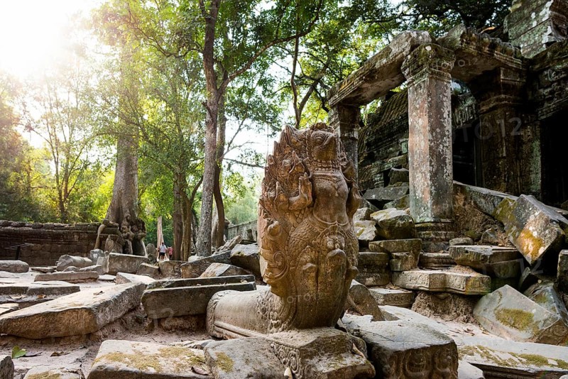 Ta Prohm, Angkor Wat, Angkor, UNESCO World Heritage Site, Siem Reap, Cambodia, Indochina, Southeast Asia, Asia