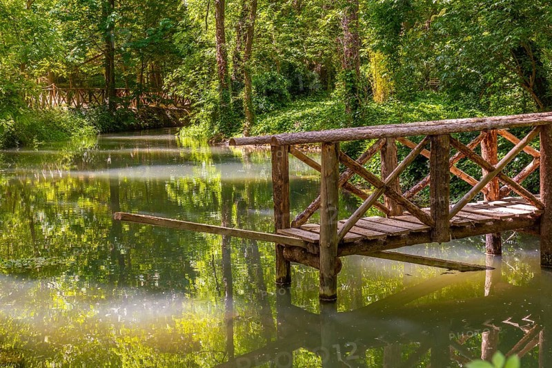 Wooden bridges at the Lake of the Ducks in the Natural Park of the Monastery of Piedra, Aragon, Spain, Europe