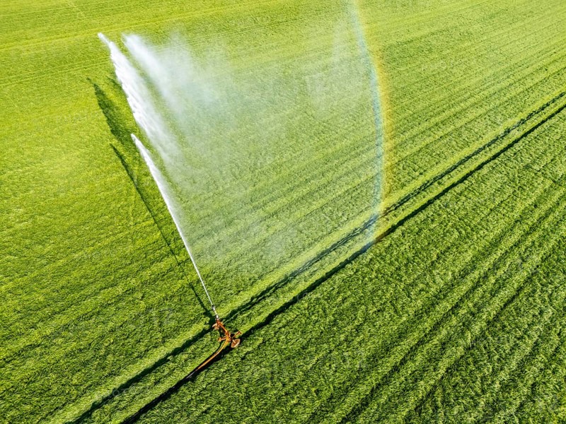 Artificial irrigation of a cereal field in April, with a sprinkler system, long dry spell in spring makes this necessary for the young plants to grow well, Kerken, Lower Rhine, North Rhine-Westphalia, Germany, Europe