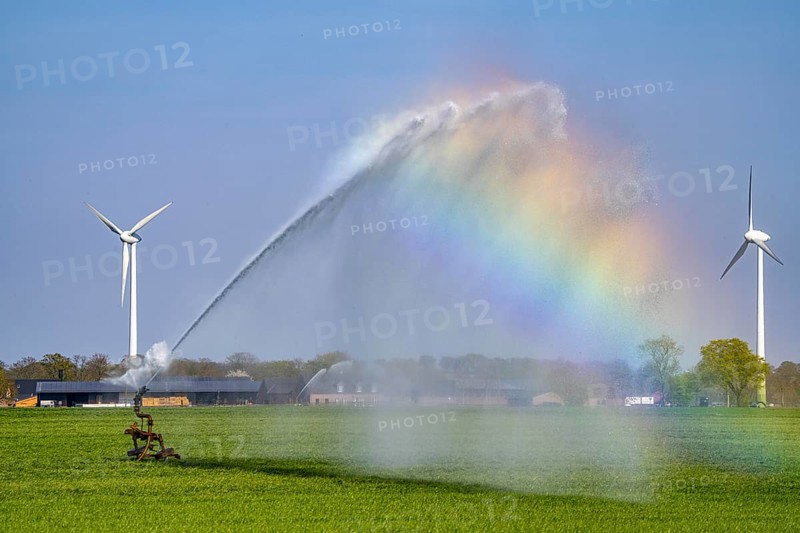 Artificial irrigation of a cereal field in April, with a sprinkler system, long dry spell in spring makes this necessary for the young plants to grow well, Kerken, Lower Rhine, North Rhine-Westphalia, Germany, Europe