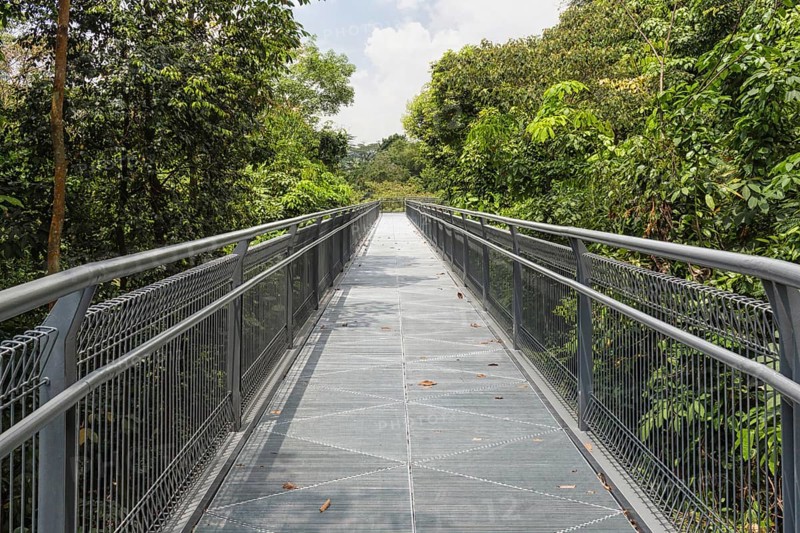 Modern metal bridge over the jungle park. singapore