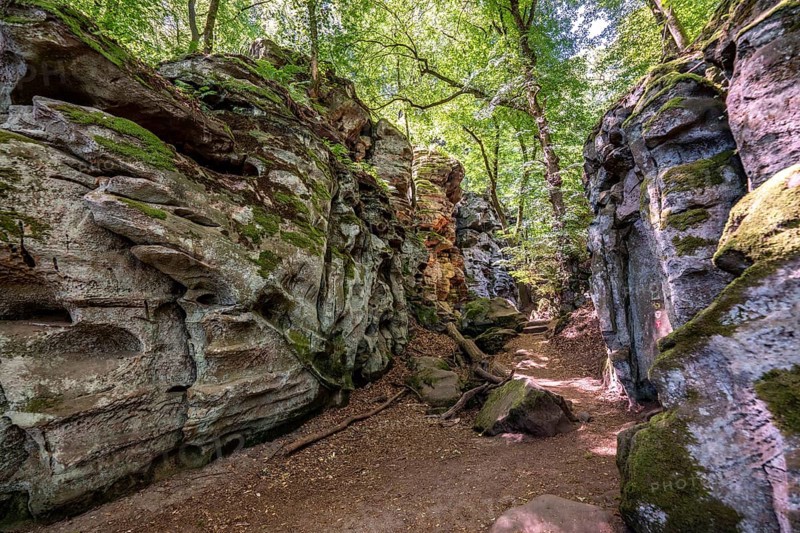 The Devil's Gorge, narrow, accessible gorge of sandstone rocks, with steep rocky gorges, near Irrel, Southern Eifel nature park Park, Rhineland-Palatinate, Germany, Europe