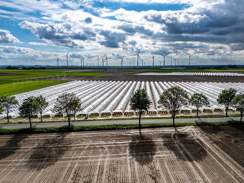 Agriculture, large areas with foil tunnel, for the cultivation of strawberries, freshly cultivated fields, wind farm, south of Lövenich, belongs to Erkelenz, in the district of Heinsberg