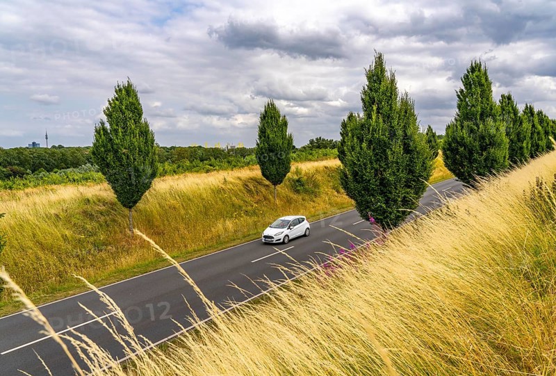Dorstfelder Allee in Dortmund, completely new road built in 2013, former farmland, in the Dorstfeld district, Tuscany-style tree avenue with 92 new trees, North Rhine-Westphalia, Germany, Europe