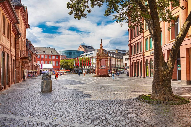 St Martin's Cathedral and Renaissance market fountain in Mainz, Rhineland-Palatinate, Germany, Europe