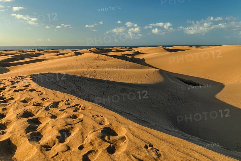 Dunes of Maspalomas, Maspalomas, Gran Canaria, Canary Islands, Spain, Maspalomas, Gran Canaria, Canary Islands, Spain, Europe