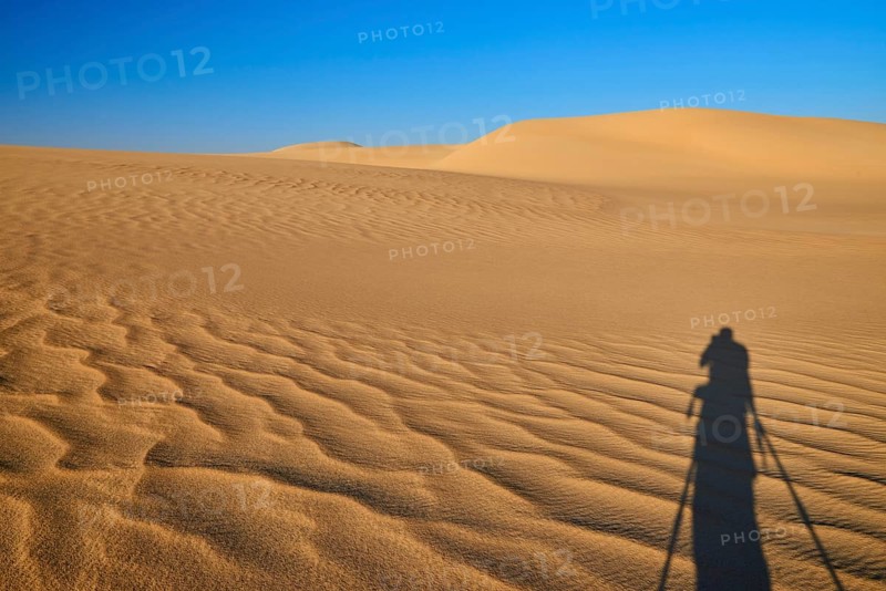 Shadow of a photographer in a vast desert landscape with sand dunes and blue sky, Matruh, Great Sand Sea, Libyan Desert, Sahara, Egypt, North Africa, Africa