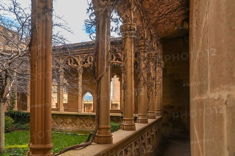 Vines creeping up the columns of a gallery in the royal palace of olite, framing the view of the courtyard garden