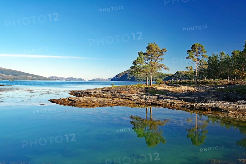 Trees, pines reflected in the crystal clear water of a shallow bay, late summer, Kjelleidet, FV 17, Kystriksveien, Helgeland, Norway, Europe