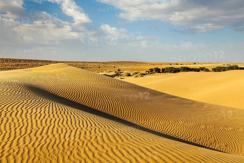 Dunes of Thar Desert. Sam Sand dunes, Rajasthan, India, Asia