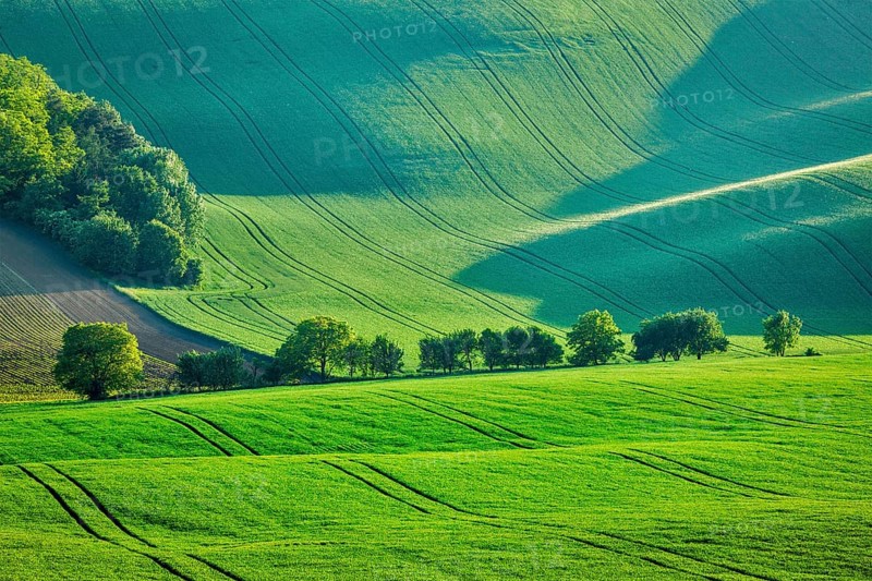 Rolling summer landscape of Moravia, Czech Republic, Europe