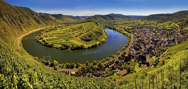 Moselle loop with vineyards and Saint Laurentius Church from the Bremmer Calmont via ferrata, Bremm, Rhineland-Palatinate, Germany, Europe