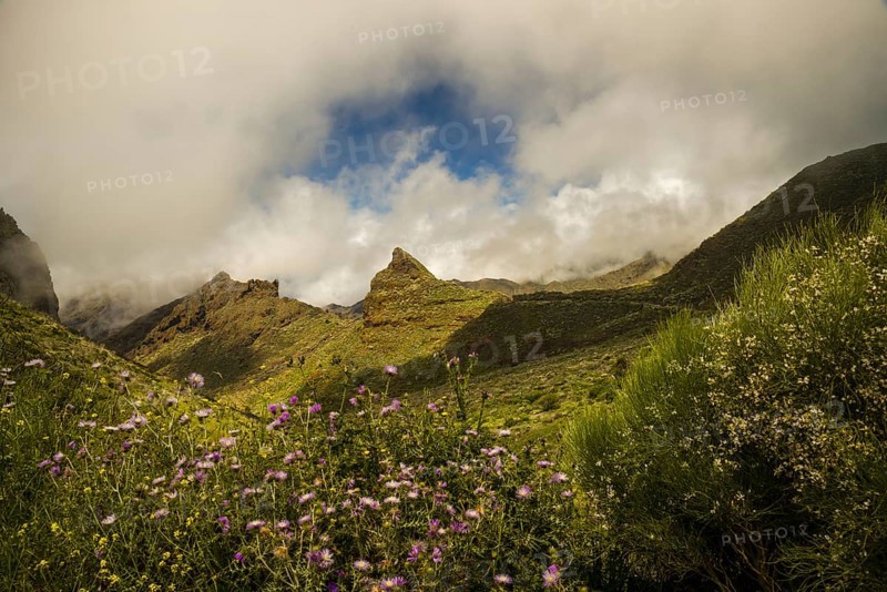 Teno Mountains, Tenerife, Canary Islands, Spain, Europe