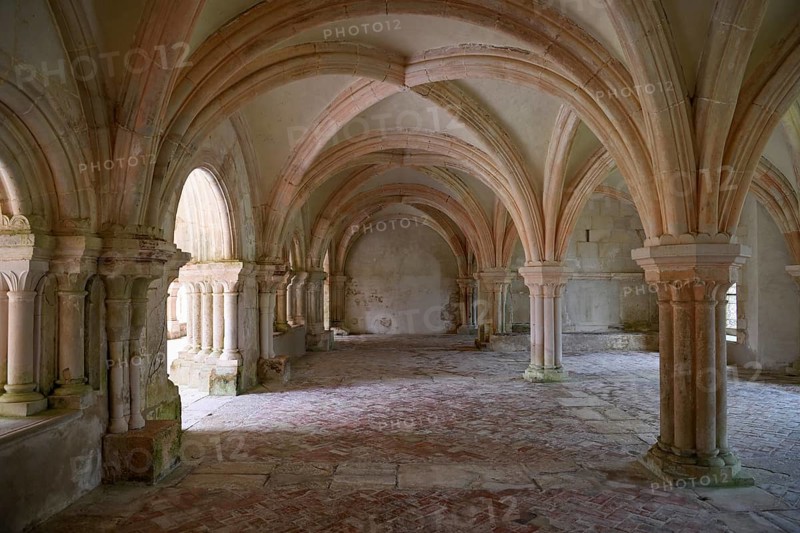 Ceiling arches, Fontenay Cistercian Abbey, Unesco World Heritage Site, Cote d'Or, Burgundy, France, Europe