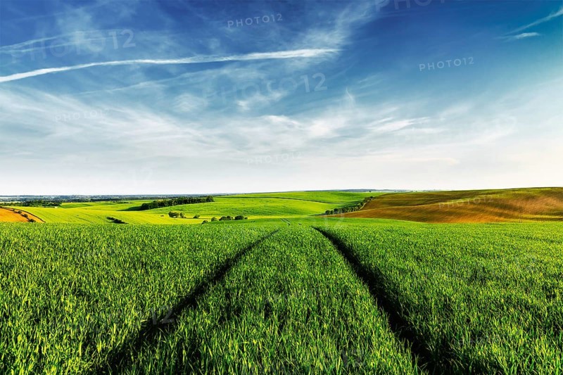 Vintage retro effect filtered hipster style image of Green fields of Moravia with blue sky, Czech Republic, Europe