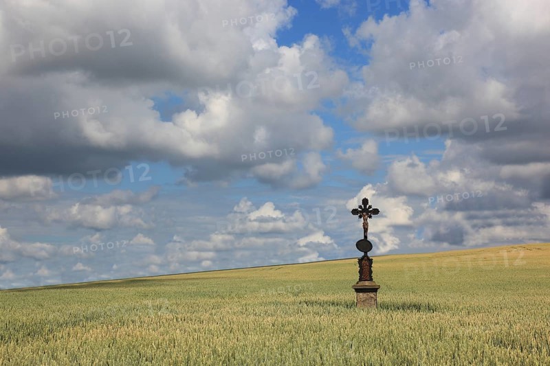Field cross in a wheat field, near Dukovany, Czech Republic, Grain field with a lonely field cross, near Dukovany, South Moravia, Kraj Vysocina, Czech Republic, Europe