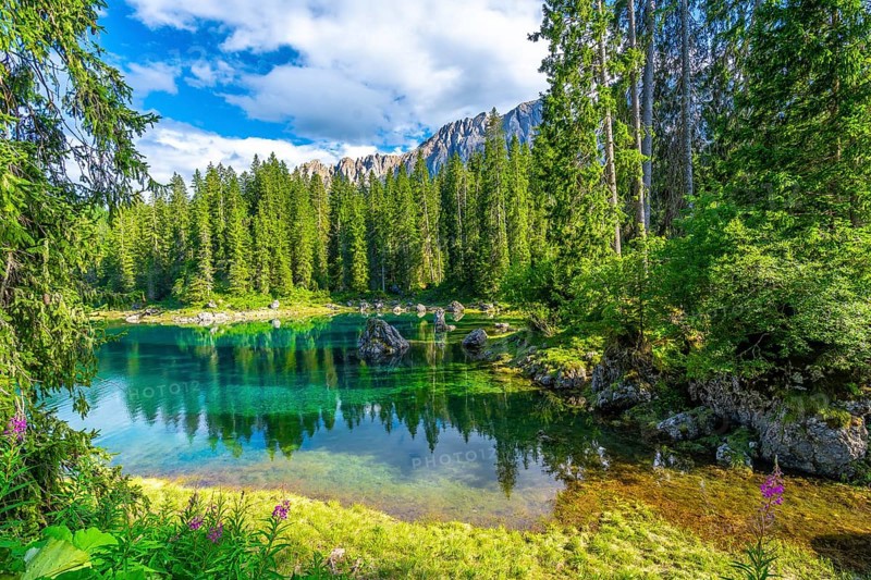 Emerald waters reflecting the majestic latemar peaks and surrounding pine forests under a blue sky with white clouds at lake carezza in the italian dolomites