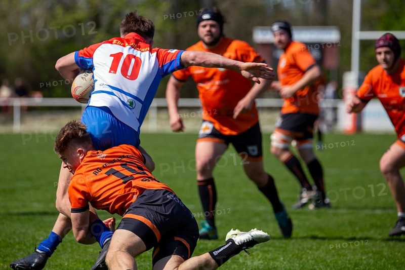 Rugby 1st Bundesliga South/West, Season 2024/25, Matchday 10: RG Heidelberg vs Heidelberger Ruderklub 1872