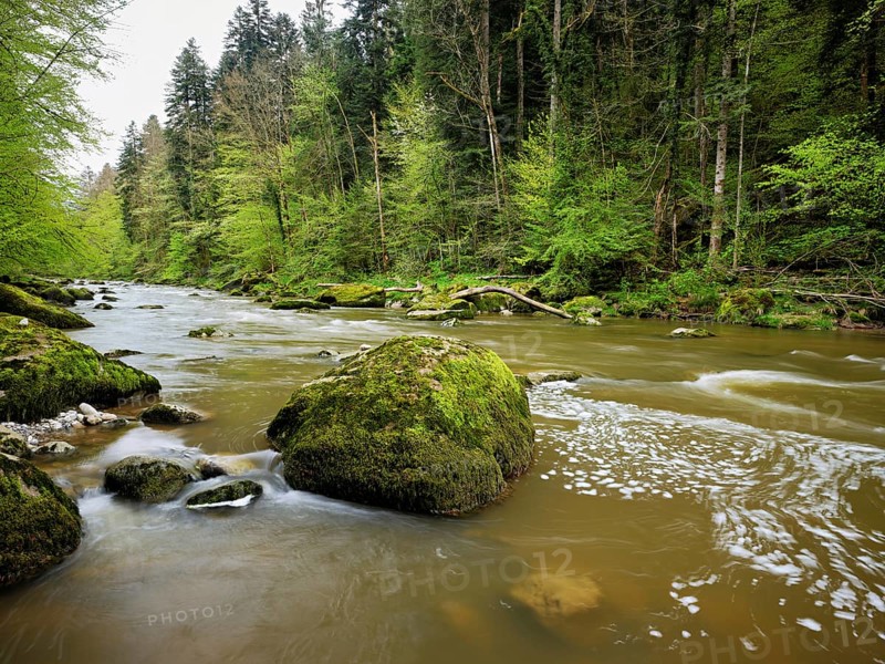 Moss-covered stones on the river Sihl, Sihlsprung, Menzingen, Canton Zug, Switzerland, Europe