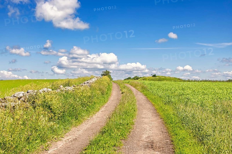 Empty dirt road with a grass shoulder by a stone wall in the countryside with green fields a sunny summer day with a blue sky