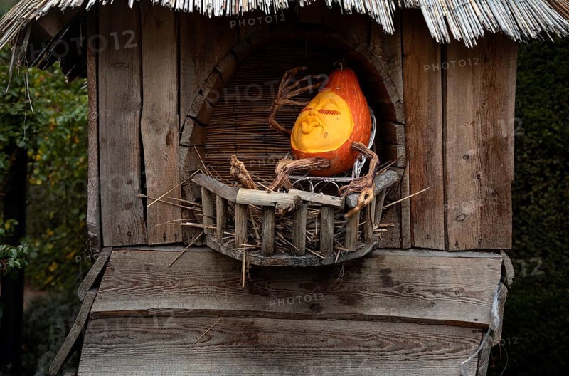 Carved pumpkin, figure, relaxing on balcony, pumpkin exhibition, pumpkins, Blühendes Barock, Ludwigsburg, Baden-Württemberg, Germany, Europe