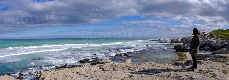 Man standing on the coast watching the sea, De Hoop Nature Reserve, nature reserve near Struisbaai, Garden Route, Western Cape, South Africa, Africa
