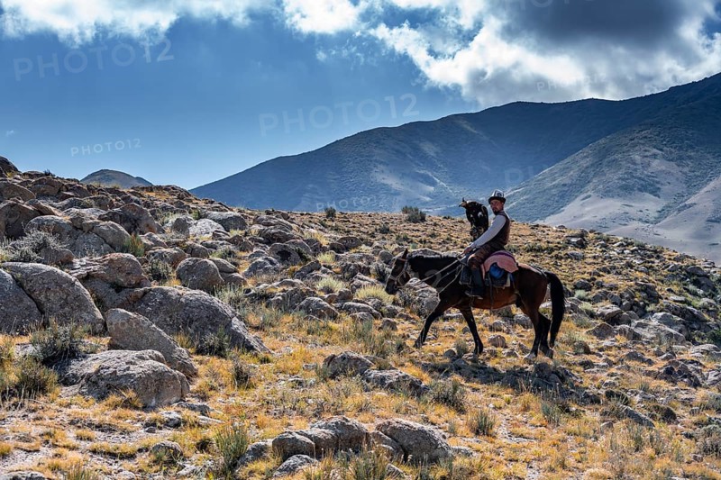 Traditional Kyrgyz eagle hunter in the mountains hunting on horseback, near Kysyl-Suu, Kyrgyzstan, Asia