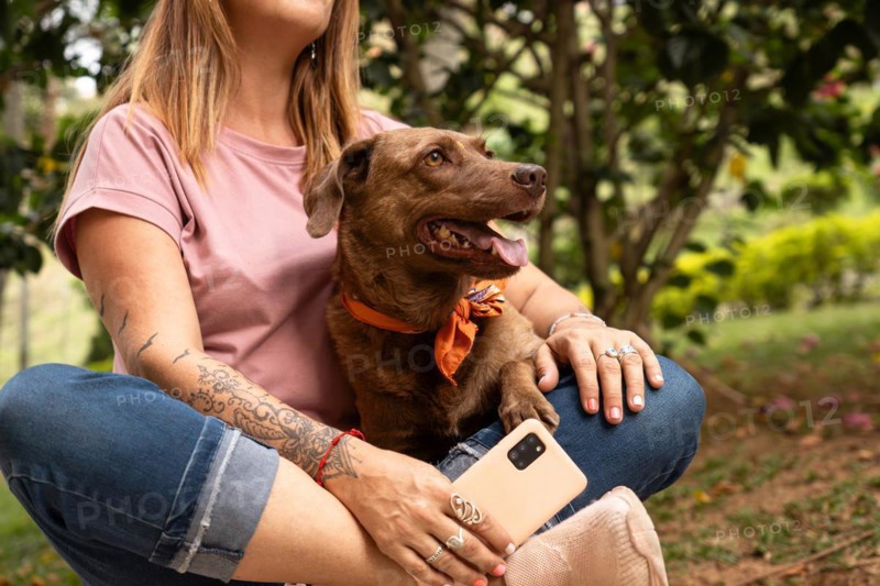 Cute dog with bandana sitting and enjoying with her owner in park