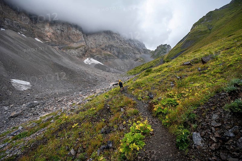 A mountaineer on a mountain path with lush green vegetation in foggy weather, hiking trail to Valentintörl, cloudy mountain peaks, Carnic Alps, Carnic High Trail, Carinthia, Austria, Europe